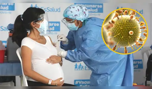 ALERTA SANITARIA | Minsa advierte INCREMENTO del Virus Sincicial: casi 2.000 casos han sido detectados. elpopular.pe