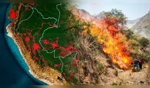 Senamhi lanza ALERTA ROJA: Estas son las 7 regiones en riesgo de sufrir INCENDIOS FORESTALES. elpopular.pe