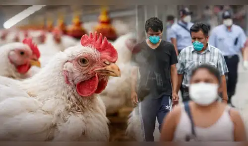 elpopular.pe