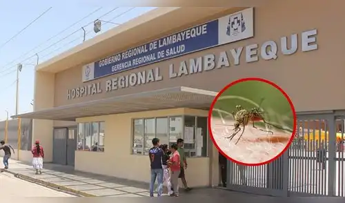Paciente con malaria permanece internado tras viajar a Camerún. elpopular.pe
