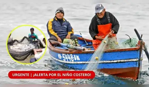 PRODUCE activará medidas excepcionales durante cuatro meses para evitar que el impacto golpee aún más al sector. elpopular.pe