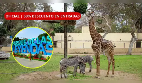 elpopular.pe
