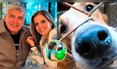 ¡NO SE APARECIÓ! Papá de Alejandra Baigorria FALTÓ a cita con animalistas y luego tomó INESPERADA decisión elpopular.pe