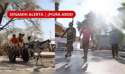 elpopular.pe