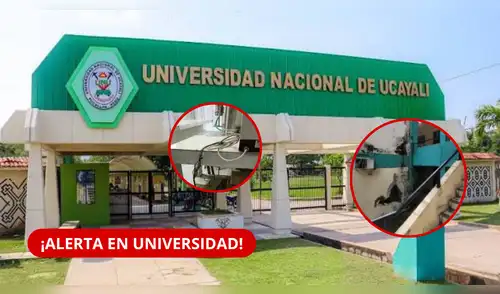 Universidad Nacional de Ucayali: Sunedu detecta graves deficiencias y advierte posible cancelación del licenciamiento. elpopular.pe