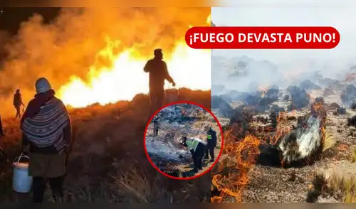 Incendios dejan 2 fallecidos y destruyen casi 30 MIL hectáreas de pastizales. elpopular.pe