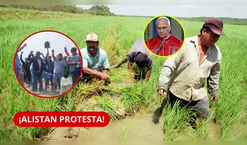 Arroceros de Ucayali preparan protesta durante visita del papa León XIV y productores de Piura evalúan paro. elpopular.pe