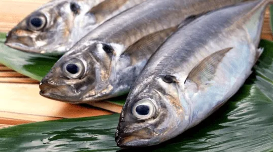 5 Consejos Para Comprar Pescado Fresco