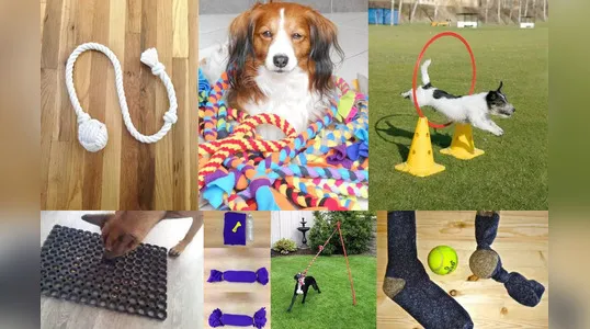 Cuatro juguetes DIY para perros que podemos hacerles nosotros mismos porque  sabemos mejor que nadie lo