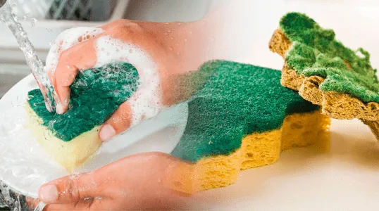 El truco para lavar correctamente las esponjas de baño: evita las bacterias  y hongos – Enséñame de Ciencia