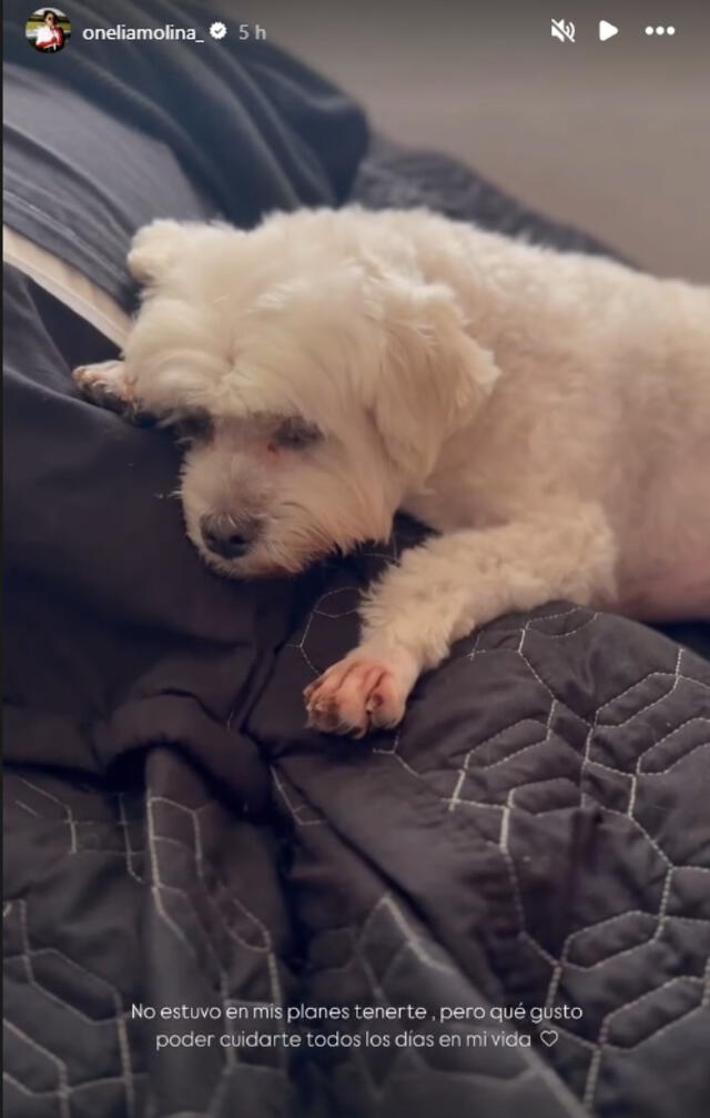Onelia Molina celebró la llegada de su perrito.
