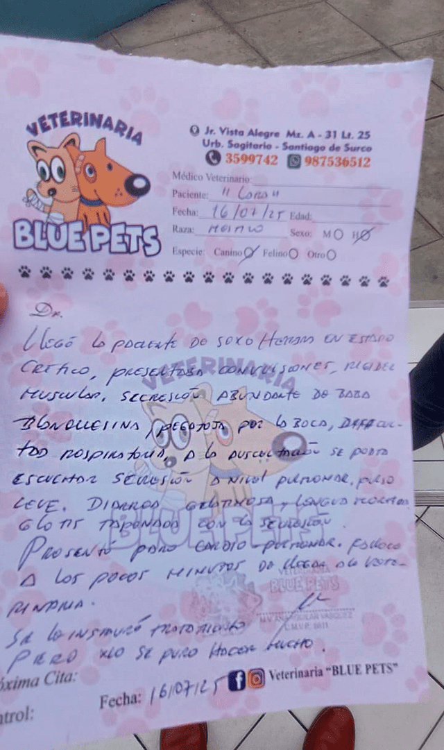 elpopular.pe elpopular.pe