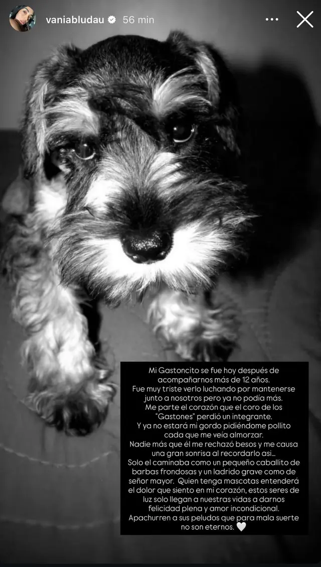 Vania Bludau comparte sensible mensaje tras la muerte de su mascota. 