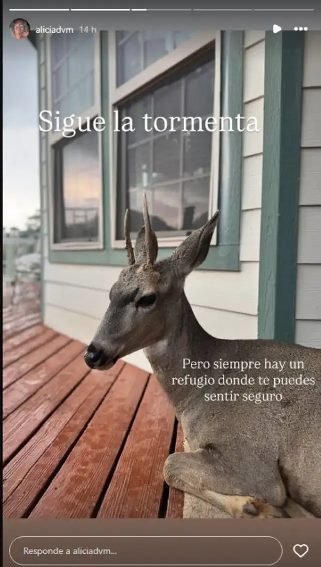 ¡NO SE QUEDA CALLADA! Madre de Juan Víctor SACA CARA por su hijo tras denunciar a Andrea San Martín ¡NO SE QUEDA CALLADA! Madre de Juan Víctor SACA CARA por su hijo tras denunciar a Andrea San Martín