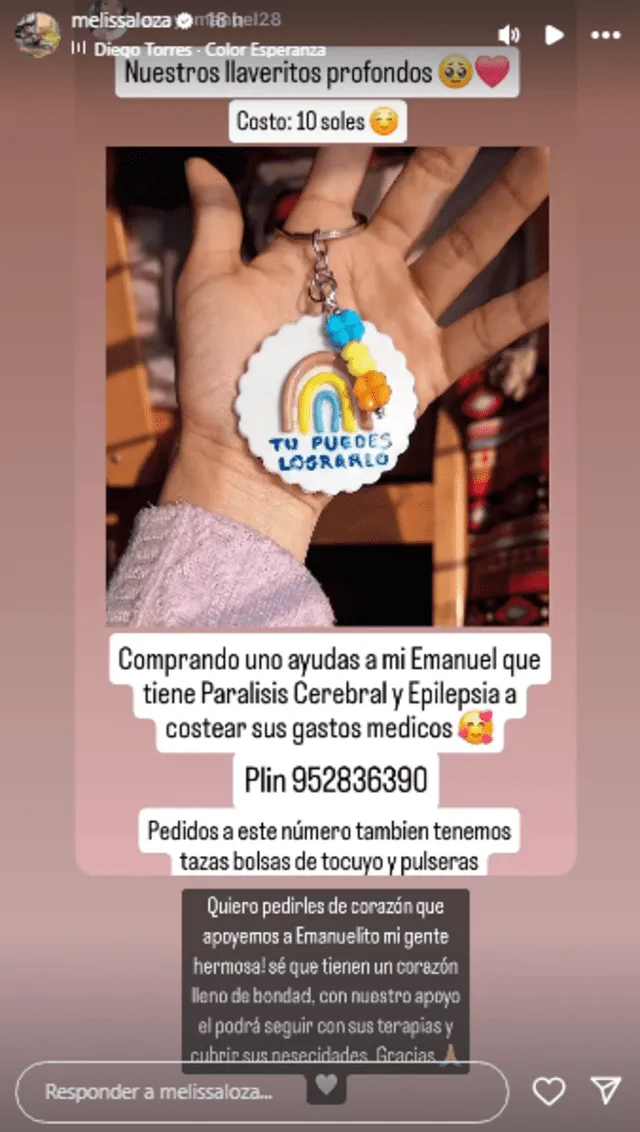 <em>Melissa Loza apoyó con sensible caso. Captura: Instagram</em>   