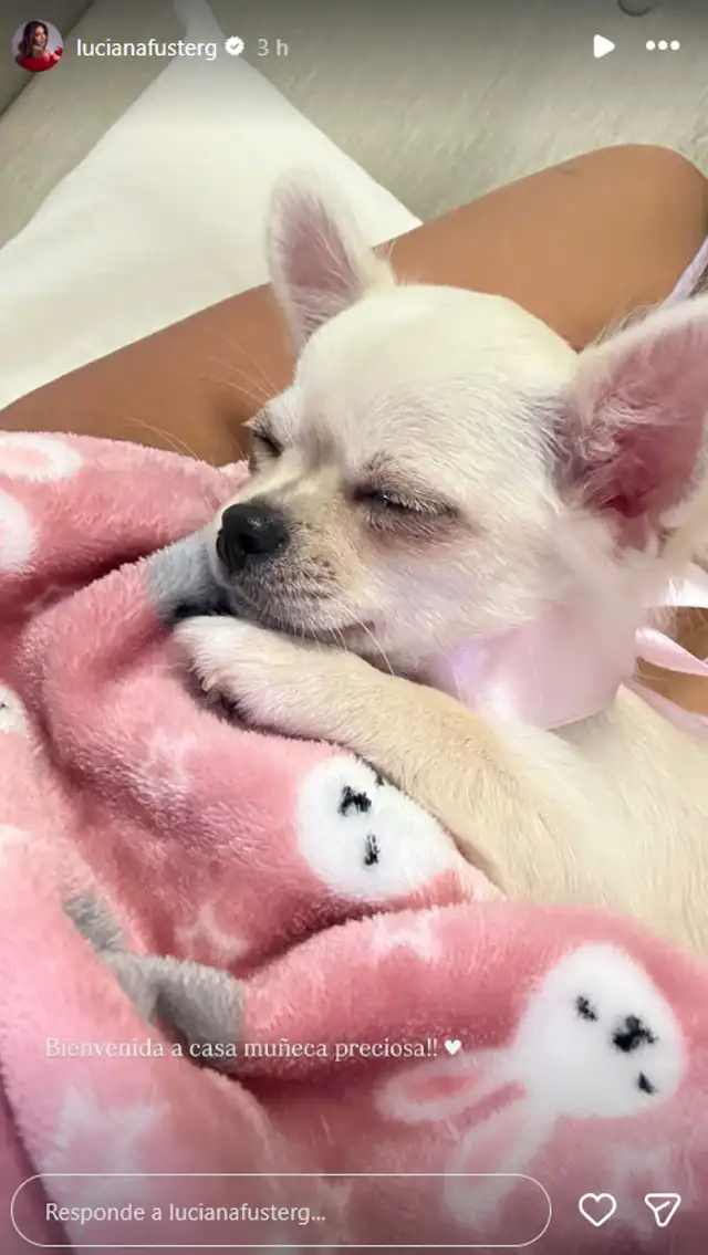 <em>Luciana Fuster presentó a la nueva integrante de su casa. Foto: Instagram</em>   