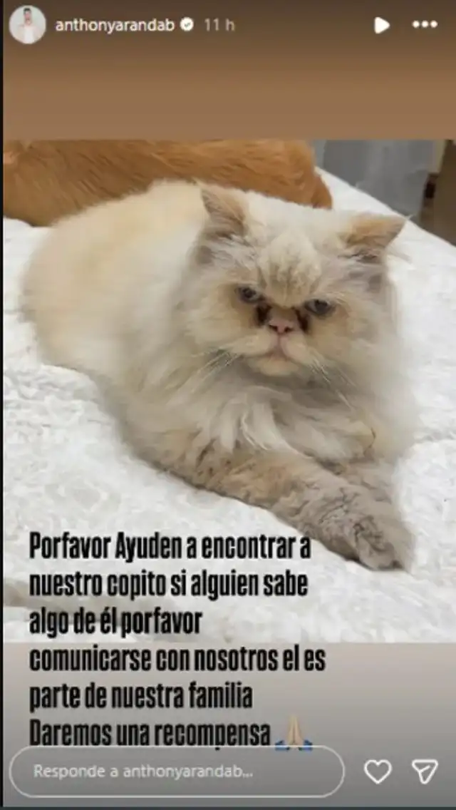 Melissa Paredes y Anthony encuentran a su 'SER QUERIDO' perdido: “Gracias a todos”