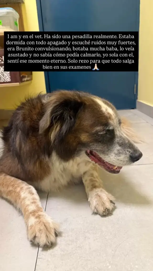 ¡FUERZA VALERIA! Valeria Piazza vive difícil momento por el delicado estado de salud de integrante de su familia: 