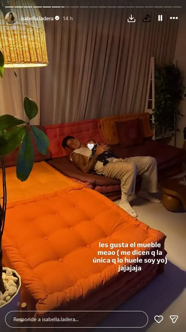 Isabella Ladera se BURLA de las críticas por vender sus muebles ORINADOS por sus mascotas a $3 MIL DÓLARES: “Les gusta...” Isabella Ladera se BURLA de las críticas por vender sus muebles ORINADOS por sus mascotas a $3 MIL DÓLARES: “Les gusta...”