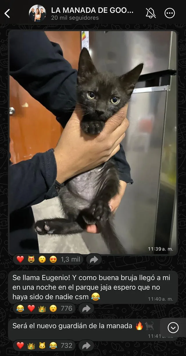 <em>Laura Spoya presenta a su mascota. Captura: WhatsApp</em>   