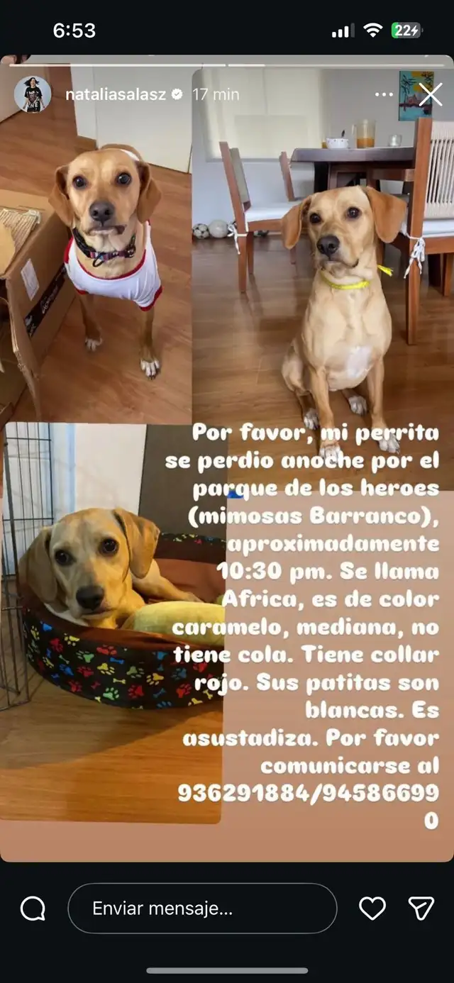  Natalia Salas anuncia la pérdida de un miembro de su familia y ruega por ayuda 