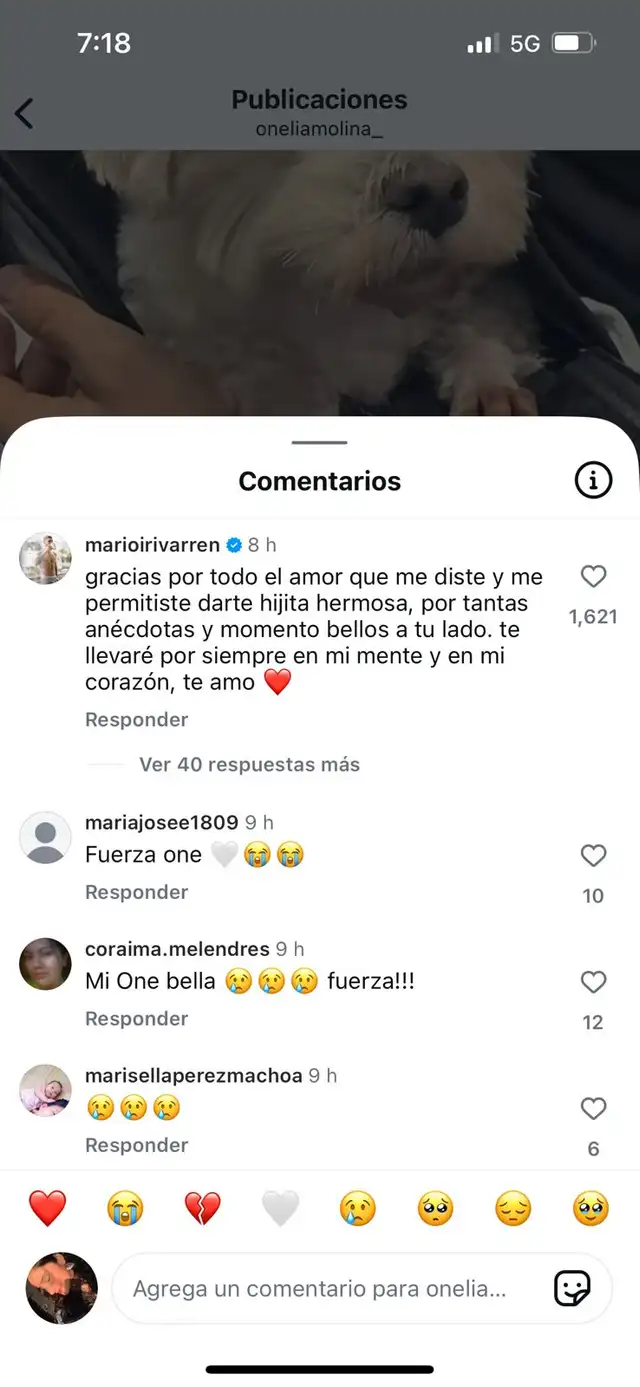  Mario Irivarren tiene tierno gesto con Onelia Molina tras la pérdida de su 'bebe' 