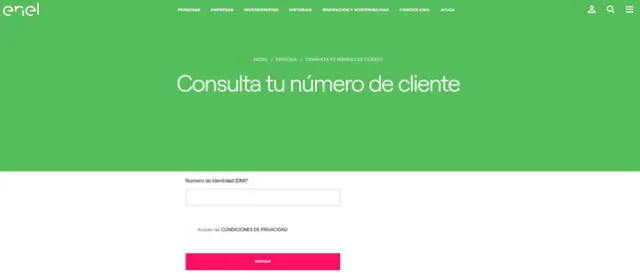  Consulta número de cliente Enel. Crédito: Enel.   