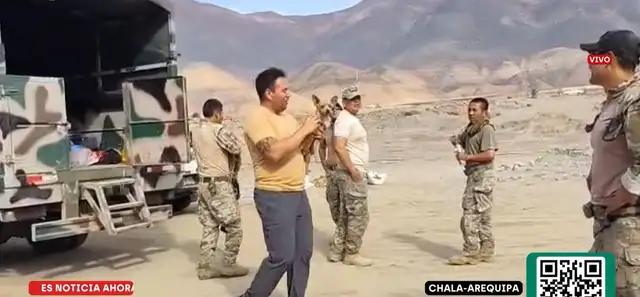 <strong> Perro chihuahua logró sobrevivir a caída de helicóptero FAP</strong>   