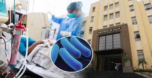 <strong> Bacteria Ralstonia pickettii fue hallada en lote del sedante Edetoxin, usada en unidades UCI</strong>   