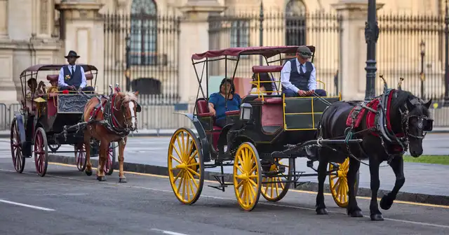 <strong> Poder Judicial ordena el fin de los paseos en carroza con caballos en la Plaza de Armas de Lima.</strong> <strong> Poder Judicial ordena el fin de los paseos en carroza con caballos en la Plaza de Armas de Lima.</strong>