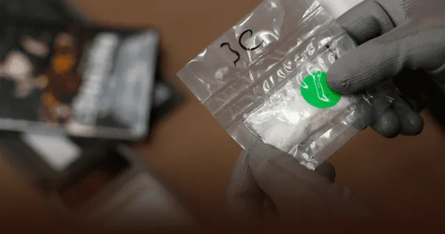 Las moscas de fruta comparten el 75% de los genes relacionados con la adicción a la cocaína en humanos. Las moscas de fruta comparten el 75% de los genes relacionados con la adicción a la cocaína en humanos.