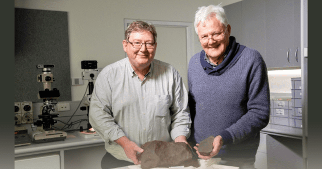 El meteorito que resulto ser más valioso que el oro. El meteorito que resulto ser más valioso que el oro.