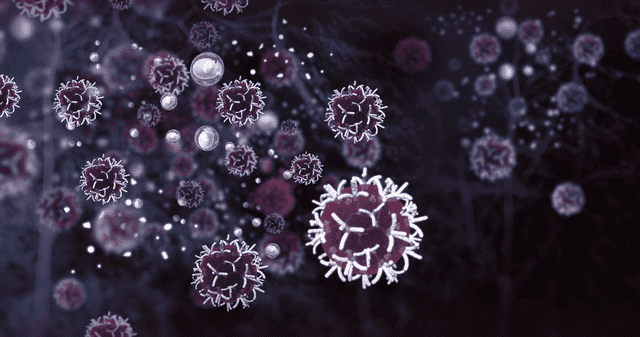 Científicos logran que el cuerpo fabrique células CAR-T para atacar el cáncer. Científicos logran que el cuerpo fabrique células CAR-T para atacar el cáncer.