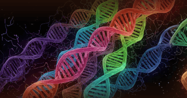 ¿Cómo funciona AlphaGenome, la nueva IA de Google? ¿Cómo funciona AlphaGenome, la nueva IA de Google?