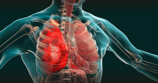 ¿Cómo los microplásticos afectan a nuestra salud? ¿Cómo los microplásticos afectan a nuestra salud?