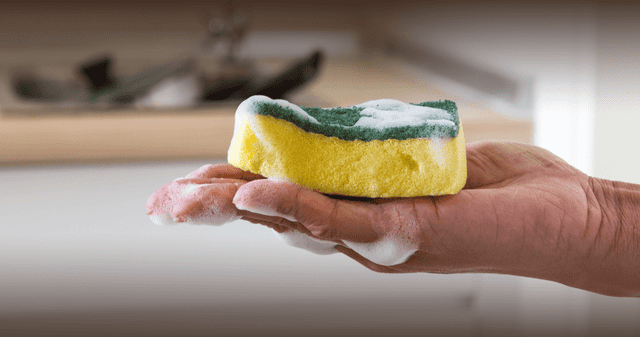 La cocina, más sucia que el baño: experto revela el objeto con más gérmenes.