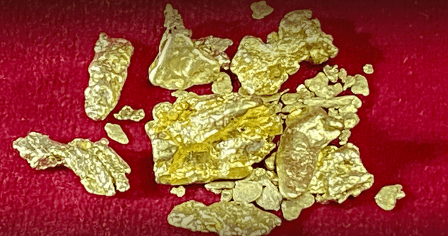 Científicos encuentran cómo extraer oro de manera sencilla.