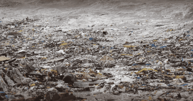 Informe revela que Perú tiene las playas más contaminadas del Pacífico. Informe revela que Perú tiene las playas más contaminadas del Pacífico.
