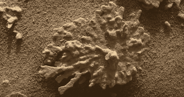 ¿Qué encontró Curiosity en Marte? La NASA responde. ¿Qué encontró Curiosity en Marte? La NASA responde.