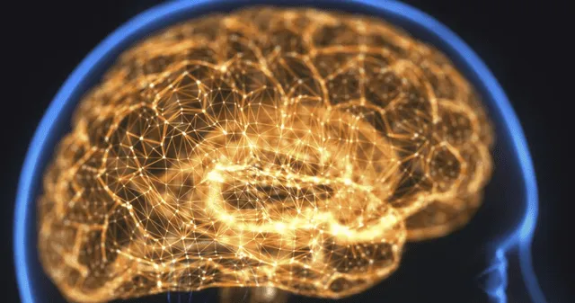 ¿Cómo es posible transmitir luz a través del cerebro humano? ¿Cómo es posible transmitir luz a través del cerebro humano?