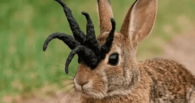 ¿Cuál es el virus que generó la formación de 