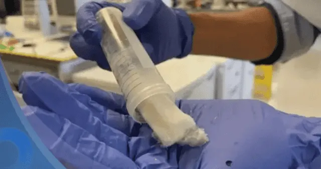 ¿Cómo funciona la pasta dental a base de queratina?