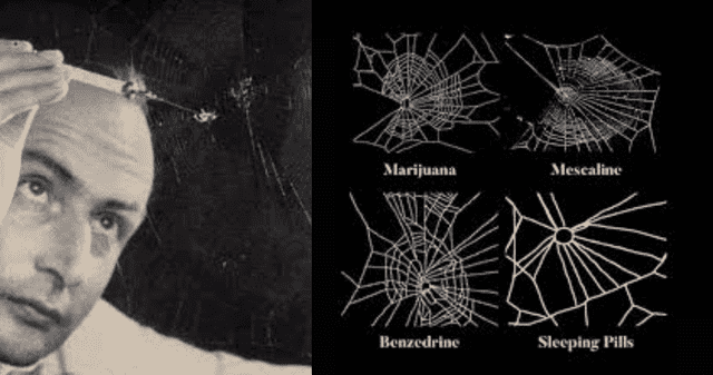 El experimento pionero de Peter Witt.