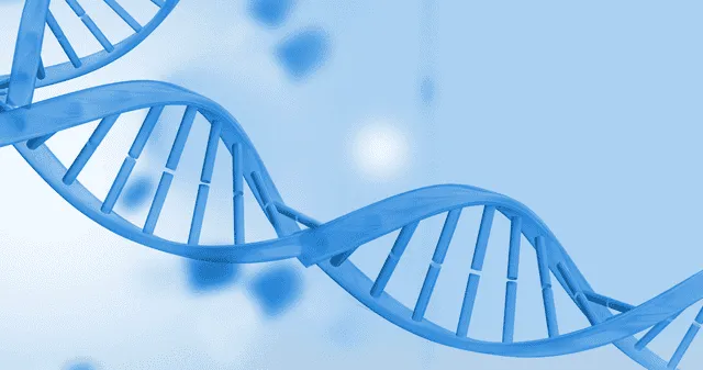 ¿Cuál es la influencia del gen Sik3 en los patrones de sueño?