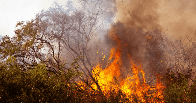 ¿Qué países o regiones serán inhabitables para el 2050?