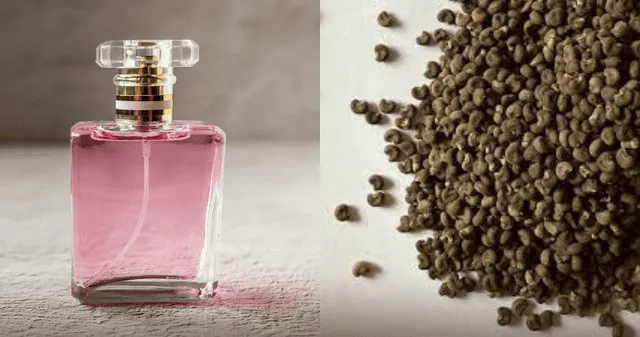 ¿Qué sustancia ocasiona la 