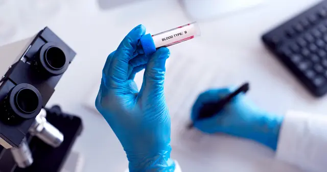 ¿Por qué el grupo sanguíneo B envejece más despacio?