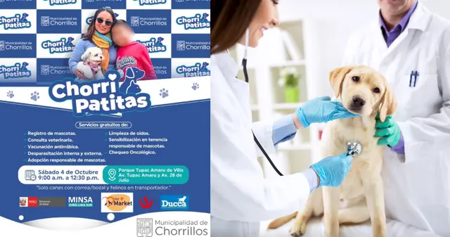 ¿Cuáles son los requisitos para acceder a la atención gratuita? ¿Cuáles son los requisitos para acceder a la atención gratuita?