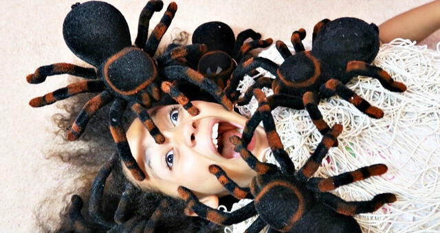 Soñar con arañas puede augurar un éxitos.   