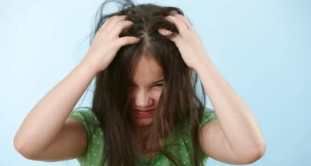 Soñar con piojos significa traición.   